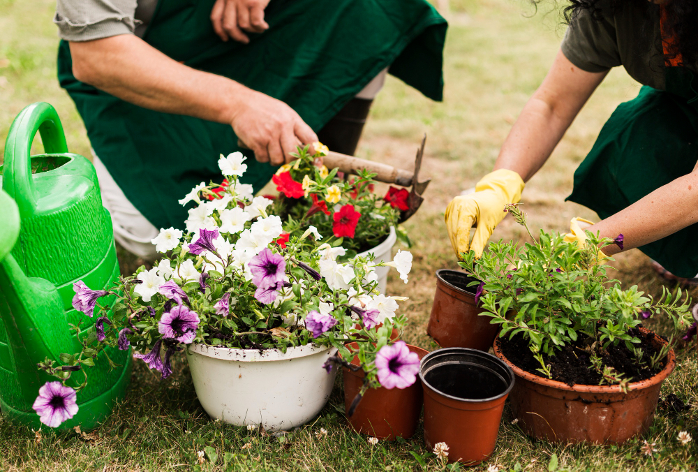 Gardener